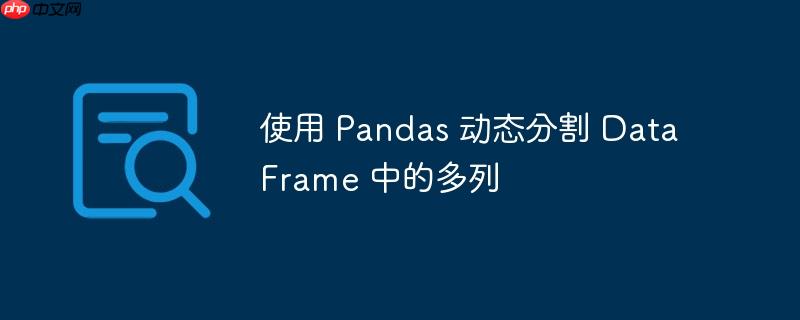 使用 pandas 动态分割 dataframe 中的多列