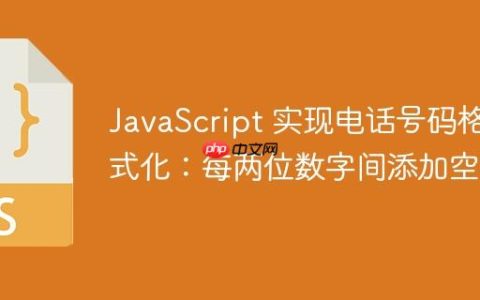 JavaScript 实现电话号码格式化：每两位数字间添加空格