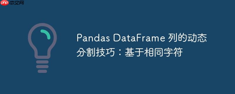 pandas dataframe 列的动态分割技巧:基于相同字符