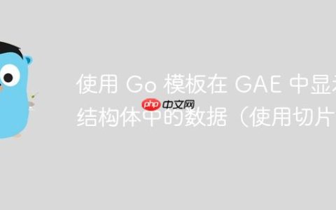 使用 Go 模板在 GAE 中显示结构体中的数据（使用切片）