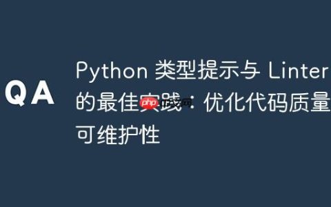 Python 类型提示与 Linter 的最佳实践：优化代码质量与可维护性