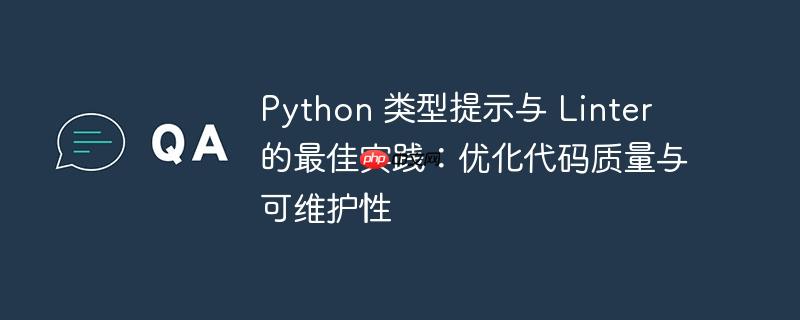 python 类型提示与 linter 的最佳实践:优化代码质量与可维护性