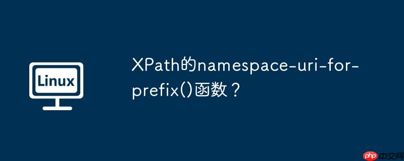 xpath的namespace-uri-for-prefix()函数?