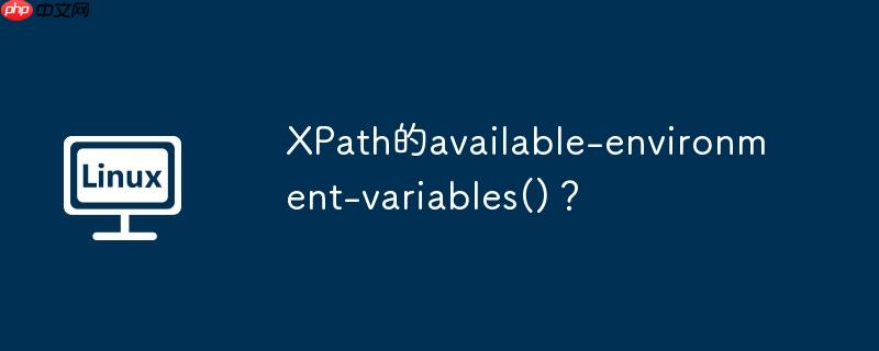 XPath的available-environment-variables()？