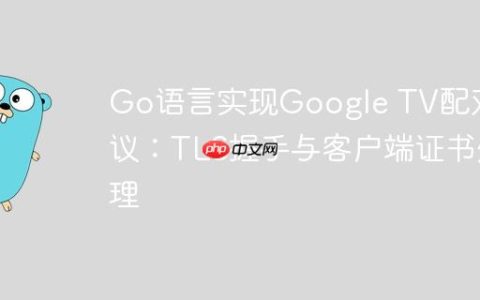 Go语言实现Google TV配对协议：TLS握手与客户端证书处理