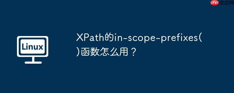 xpath的in-scope-prefixes()函数怎么用?