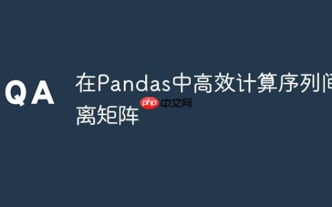 在Pandas中高效计算序列间距离矩阵