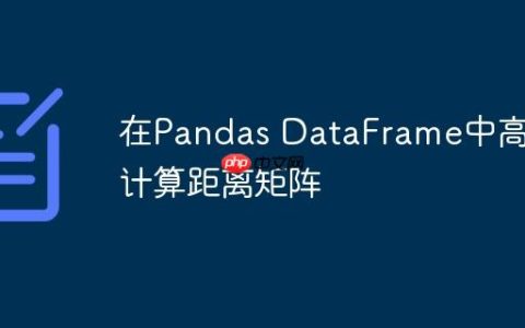 在Pandas DataFrame中高效计算距离矩阵