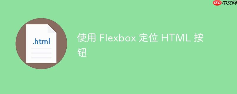 使用 flexbox 定位 html 按钮