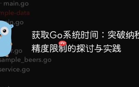 获取Go系统时间：突破纳秒精度限制的探讨与实践