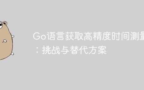 Go语言获取高精度时间测量：挑战与替代方案
