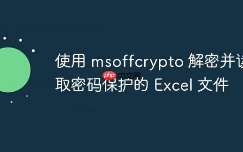 使用 msoffcrypto 解密并读取密码保护的 Excel 文件