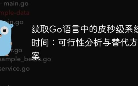 获取Go语言中的皮秒级系统时间：可行性分析与替代方案