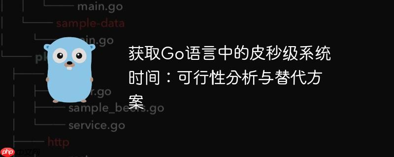 获取go语言中的皮秒级系统时间:可行性分析与替代方案