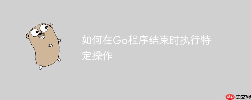 如何在go程序结束时执行特定操作