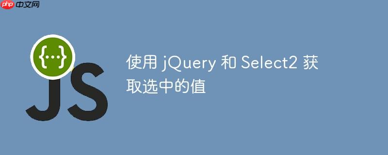 使用 jquery 和 select2 获取选中的值