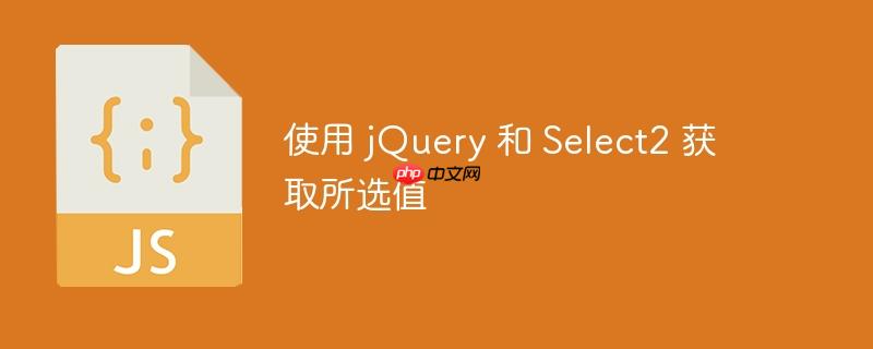 使用 jquery 和 select2 获取所选值