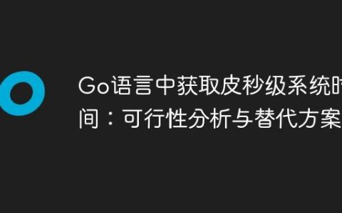 Go语言中获取皮秒级系统时间：可行性分析与替代方案