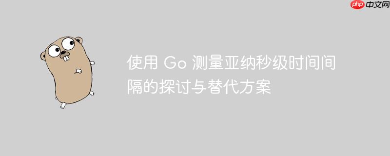 使用 go 测量亚纳秒级时间间隔的探讨与替代方案