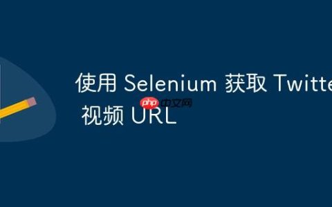 使用 Selenium 获取 Twitter 视频 URL
