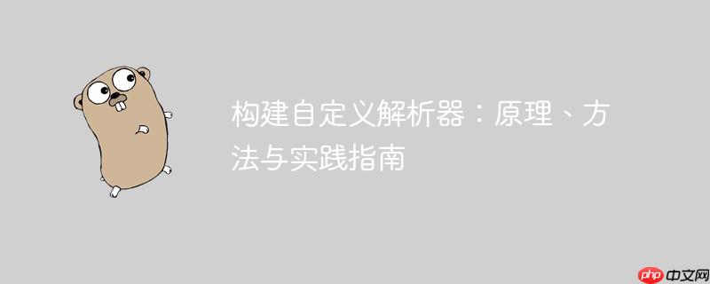 构建自定义解析器:原理、方法与实践指南