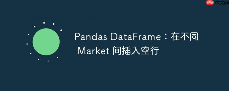 pandas dataframe:在不同 market 间插入空行