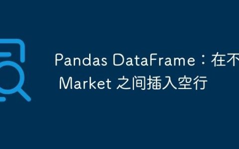 Pandas DataFrame：在不同 Market 之间插入空行