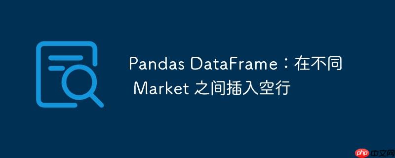 pandas dataframe:在不同 market 之间插入空行