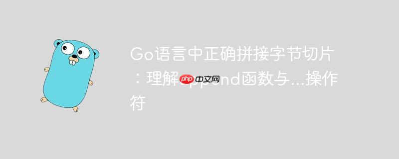 Go语言中正确拼接字节切片：理解append函数与...操作符