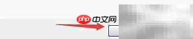 Hard Disk Sentinel预启动延迟设置