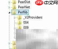 SQL安装性能计数器注册表问题