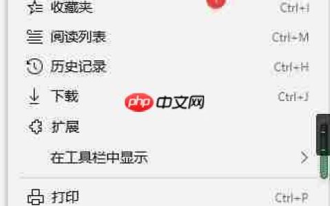 Flash Player使用指南