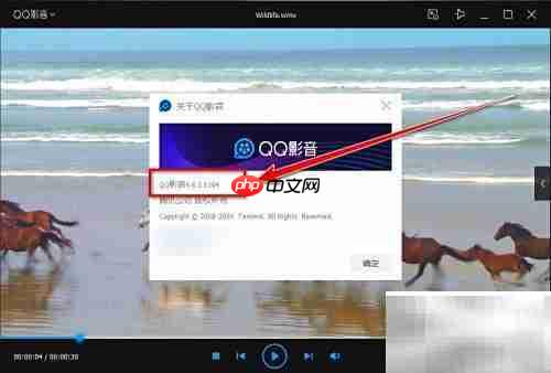 QQ影音版本查看方法