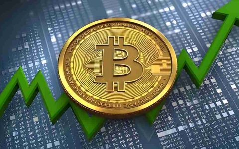 Bitwise重磅预测：未来10年比特币（BTC）仍会是全球表现最佳的资产