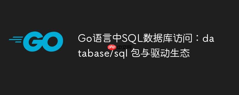 Go语言中SQL数据库访问：database/sql 包与驱动生态