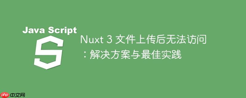 nuxt 3 文件上传后无法访问:解决方案与最佳实践