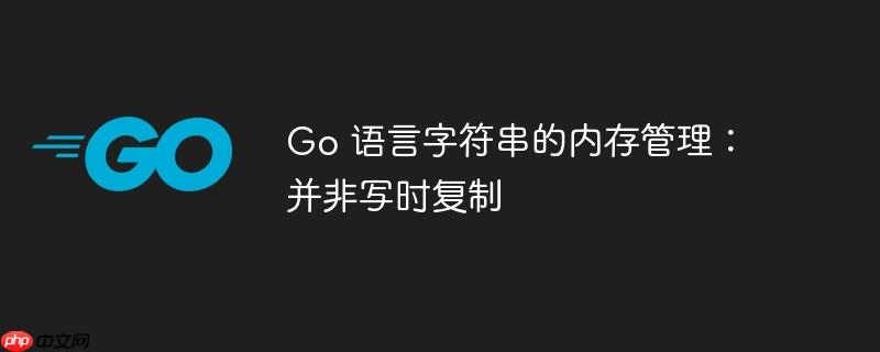 go 语言字符串的内存管理:并非写时复制