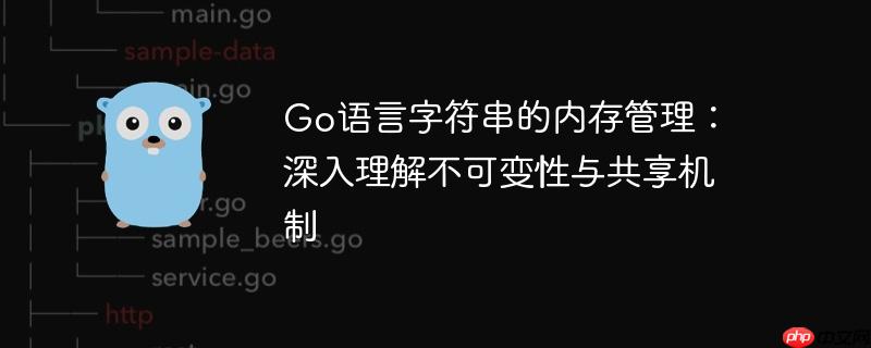 go语言字符串的内存管理:深入理解不可变性与共享机制