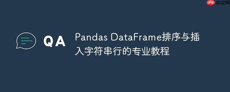 pandas dataframe排序与插入字符串行的专业教程