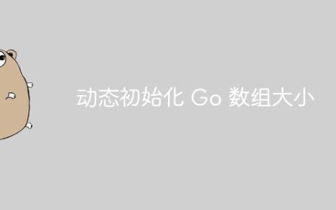 动态初始化 Go 数组大小
