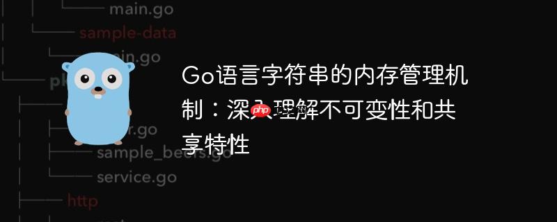 go语言字符串的内存管理机制：深入理解不可变性和共享特性