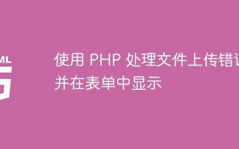使用 PHP 处理文件上传错误并在表单中显示