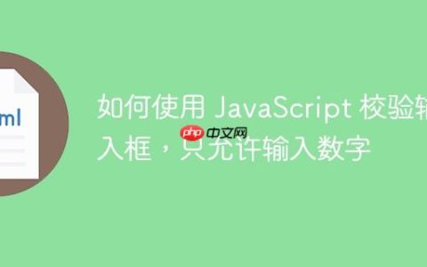 如何使用 JavaScript 校验输入框，只允许输入数字
