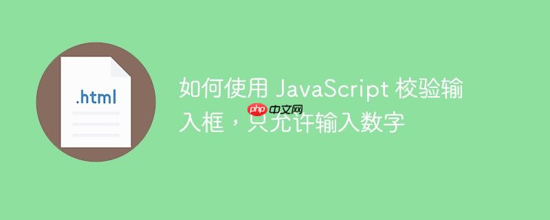如何使用 javascript 校验输入框,只允许输入数字