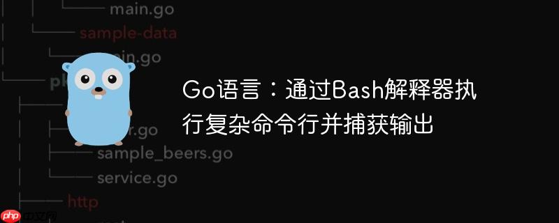 Go语言:通过Bash解释器执行复杂命令行并捕获输出