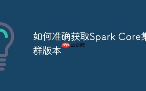如何准确获取Spark Core集群版本