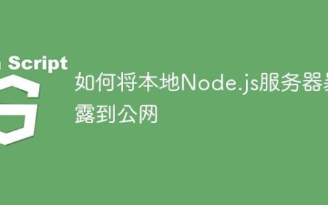 如何将本地Node.js服务器暴露到公网