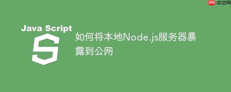 如何将本地node.js服务器暴露到公网
