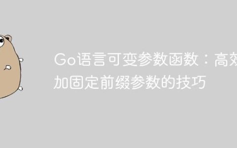 Go语言可变参数函数：高效添加固定前缀参数的技巧