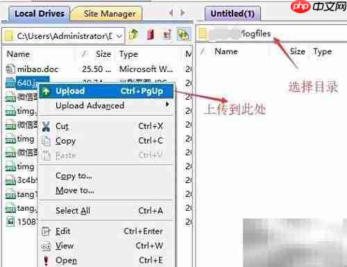 FTP工具上传下载操作指南